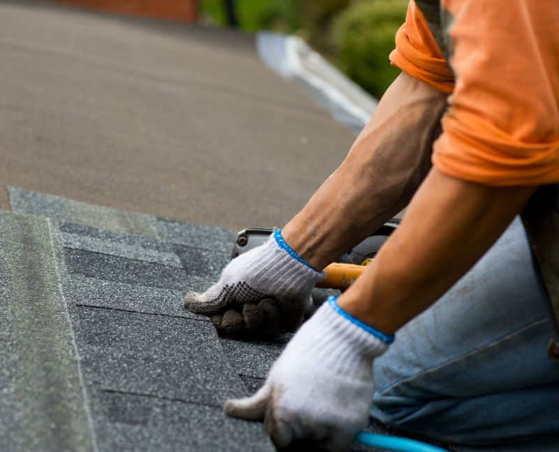 Asphalt Shingles Cleaning