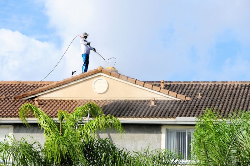 Roof Stain Removal