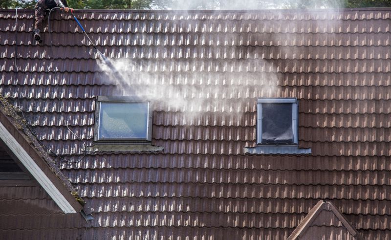 Roof Mildew Removal