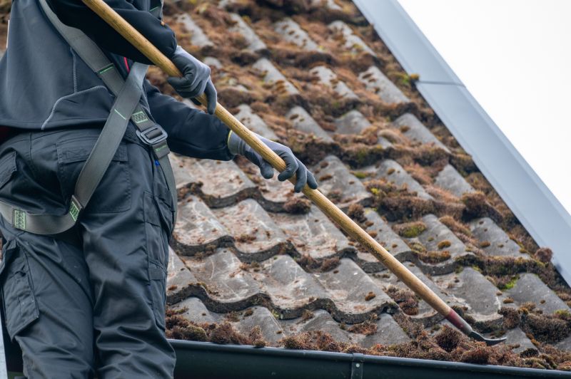 Roof Mildew Removal